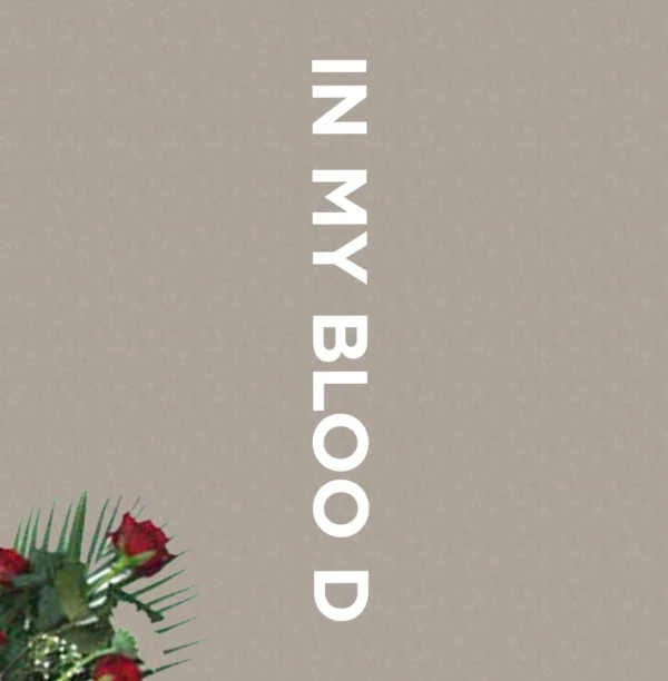 Shawn Mendes - In My Blood