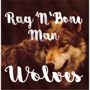 SF1119283-Rag-_n_-Bone-Man-Wolves