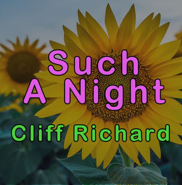 Cliff Richard - Such A Night