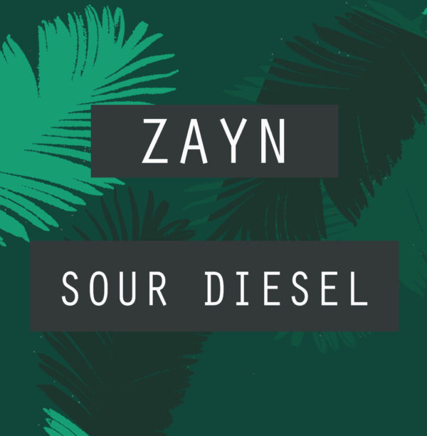 ZAYN - Sour Diesel