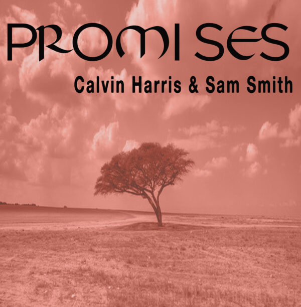 Calvin Harris - Promises