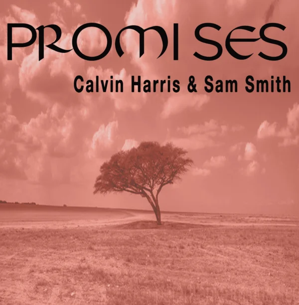 Calvin Harris - Promises