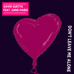 SF1119353 – David Guetta Feat. Anne-Marie – Don’t Leave Me Alone