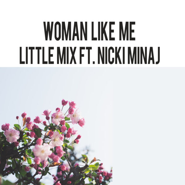 Little Mix - Woman Like Me