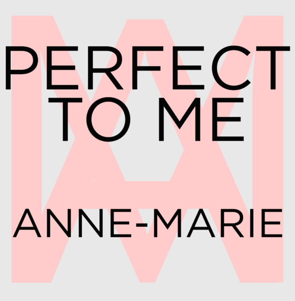 Anne-Marie - Perfect To Me