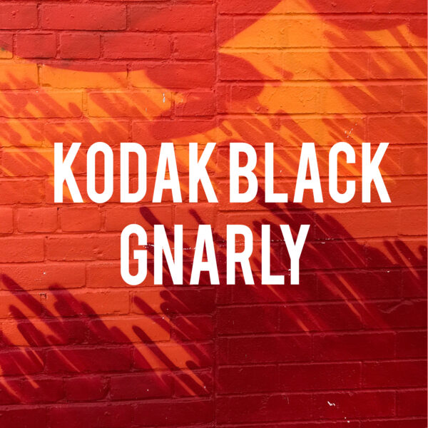Kodak Black - Gnarly