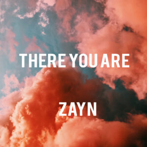 SF1119457 – ZAYN – There You Are