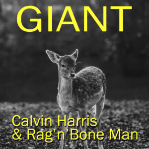 SF1119477 – Calvin Harris & Rag n Bone Man – Giant