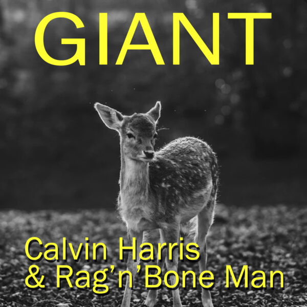 Calvin Harris - Giant