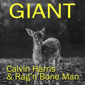 SF1119477-Calvin-Harris-_-Rag-n-Bone-Man-Giant