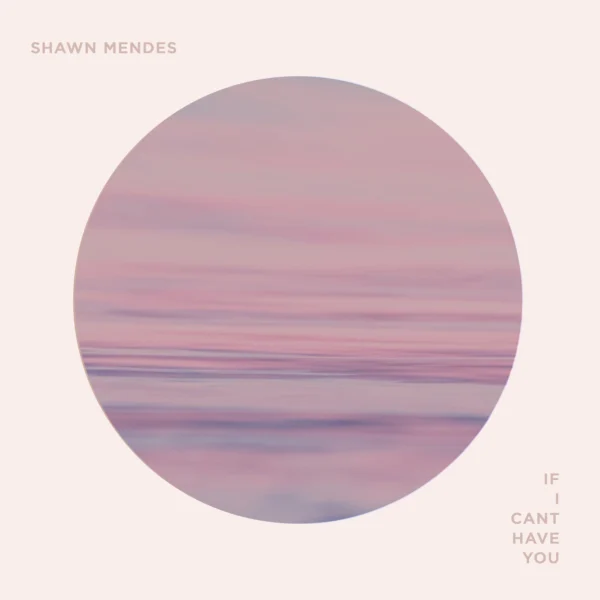 Shawn Mendes - If I Can't Have You