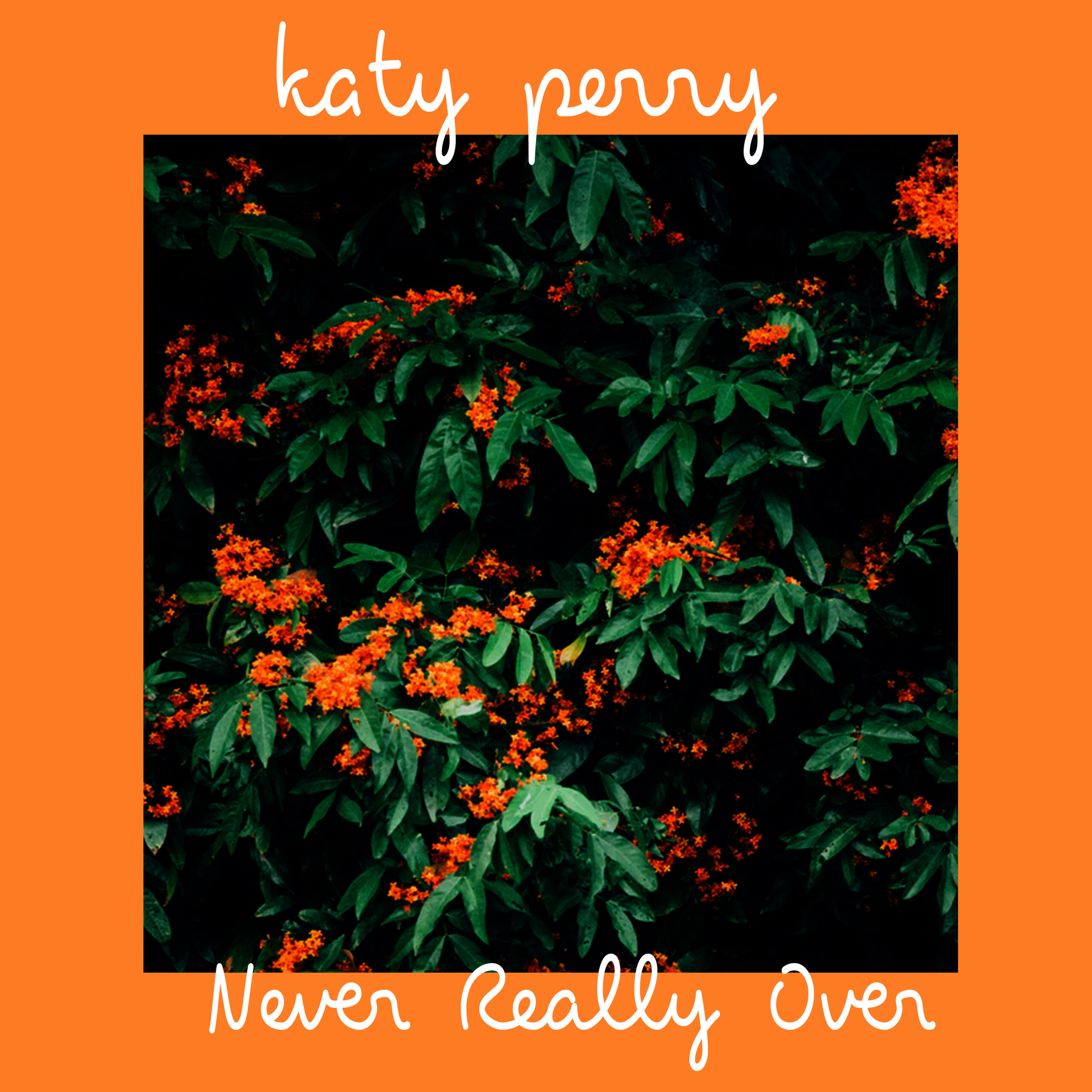 Katy Perry - Never Really Over