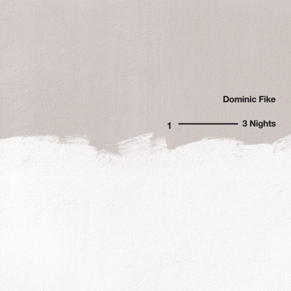 Dominic Fike - 3 Nights