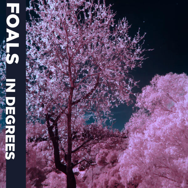 Foals - In Degrees