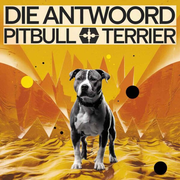 Die Antwoord - Pitbull Terrier