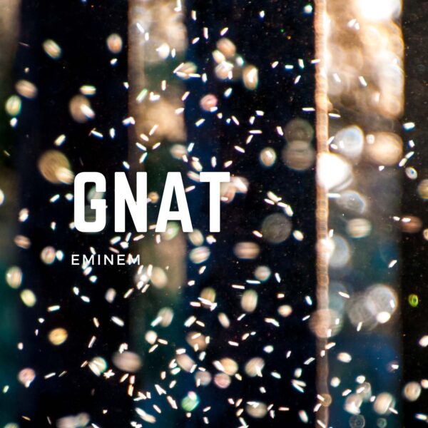 Eminem - Gnat