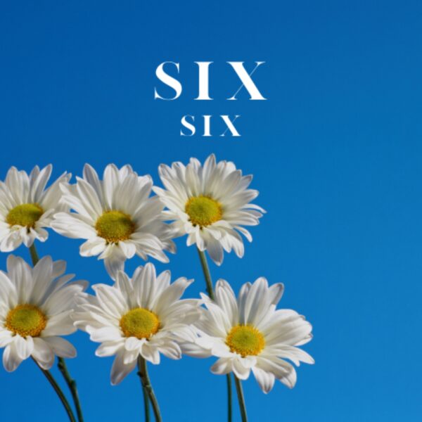 Cast from Six The Musical - Six