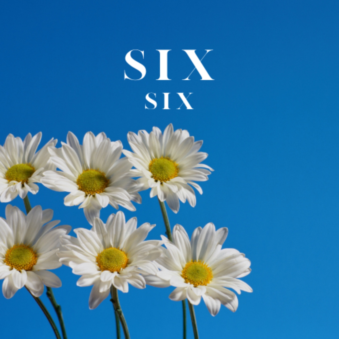 Cast from Six The Musical - Six