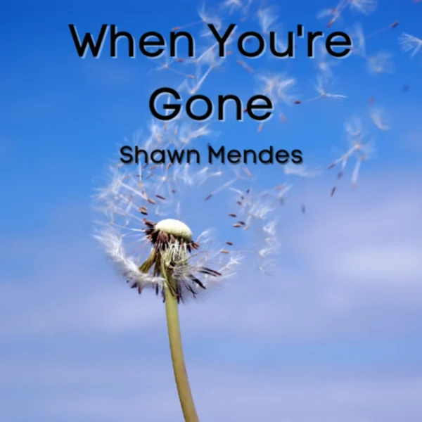 Shawn Mendes - When You're Gone