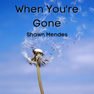 SF1125150 – Shawn Mendes – When You’re Gone