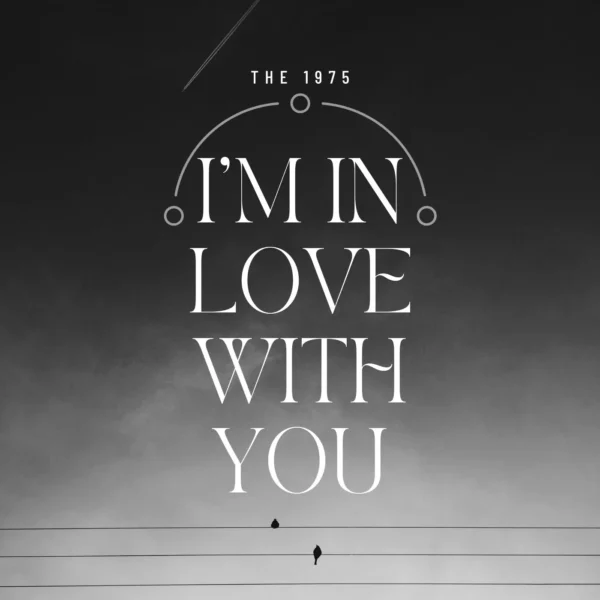 The 1975 - I'm In Love With You
