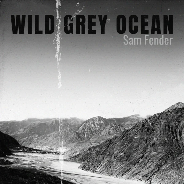 Sam Fender - Wild Grey Ocean