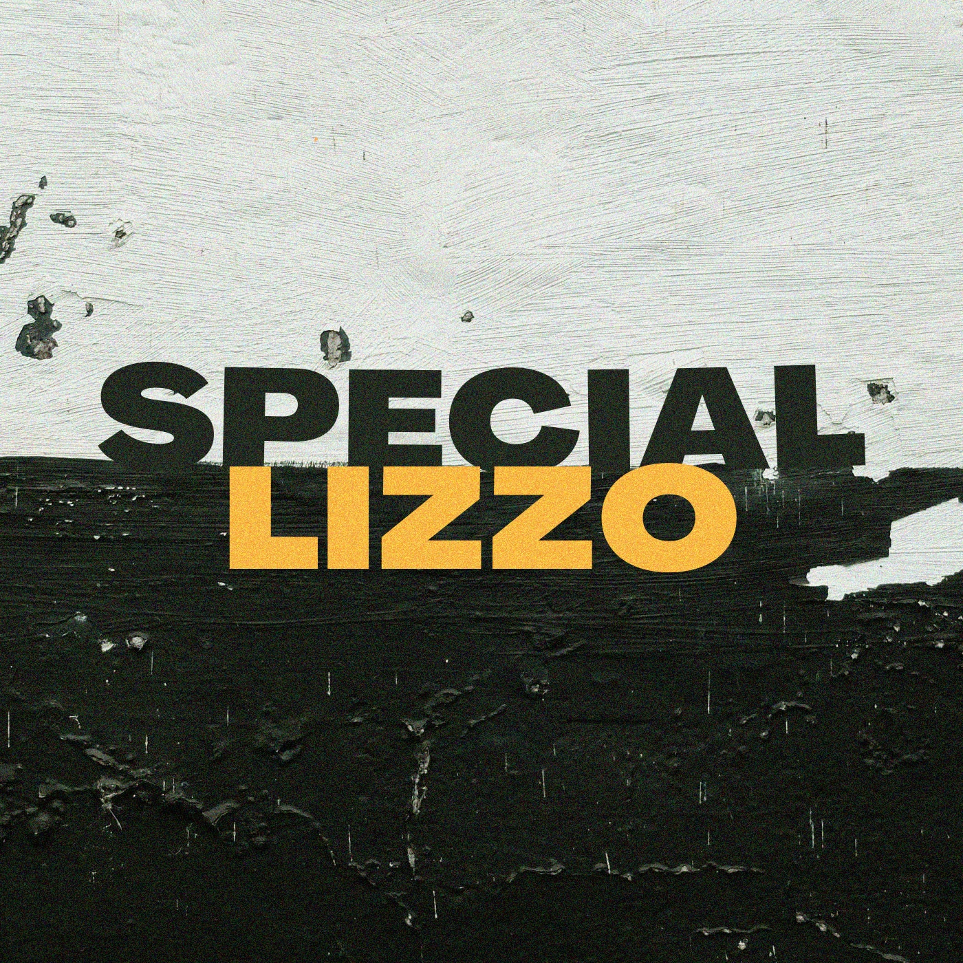 Lizzo - Special