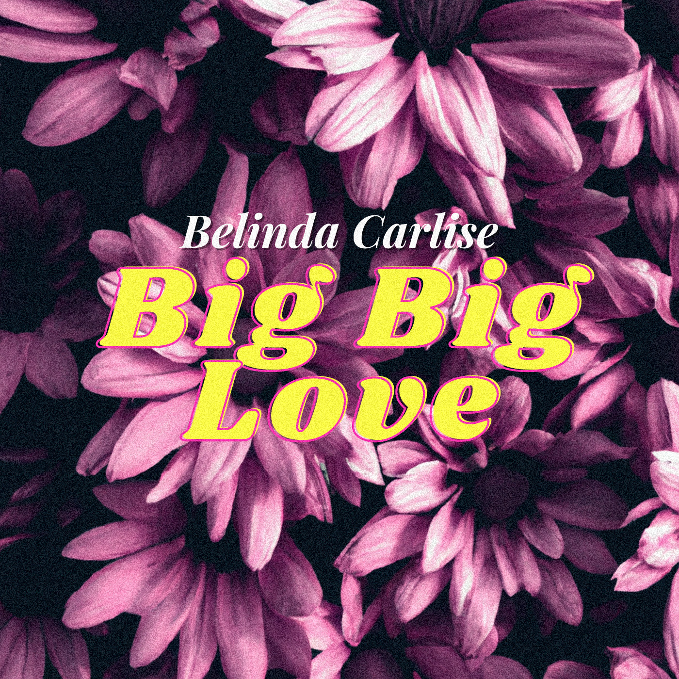Belinda Carlisle - Big Big Love