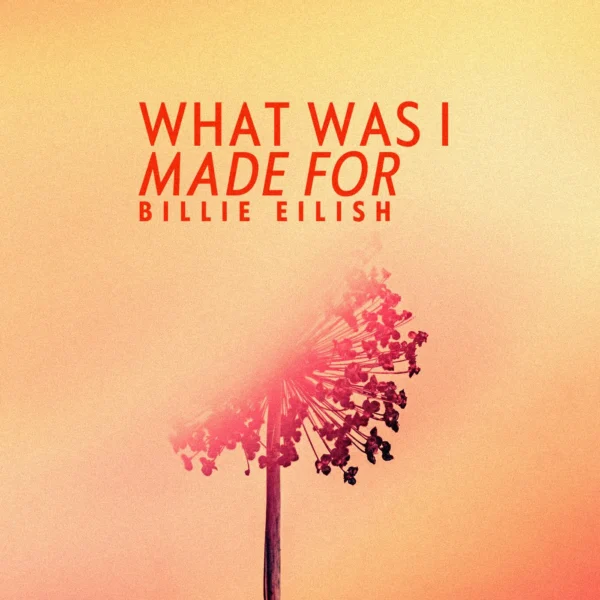 Billie Eilish - What Was I Made For