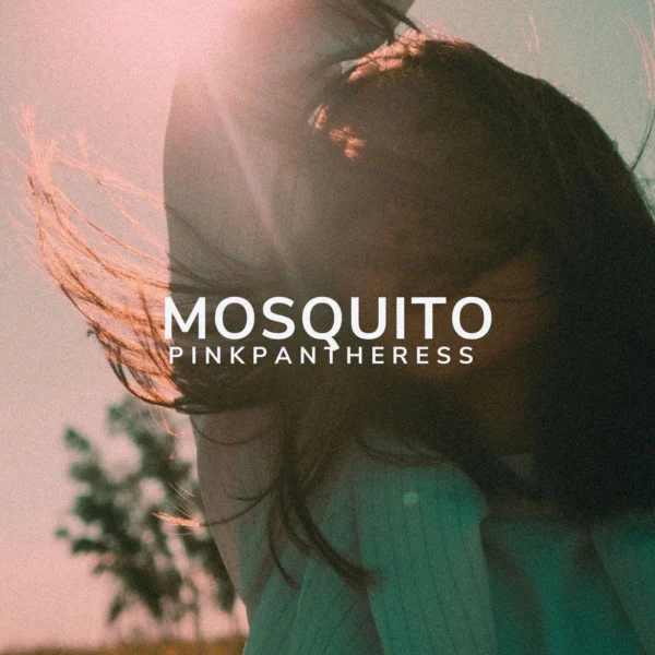PinkPanthress - Mosquito