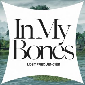SF1128159 – Lost Frequencies – In My Bones