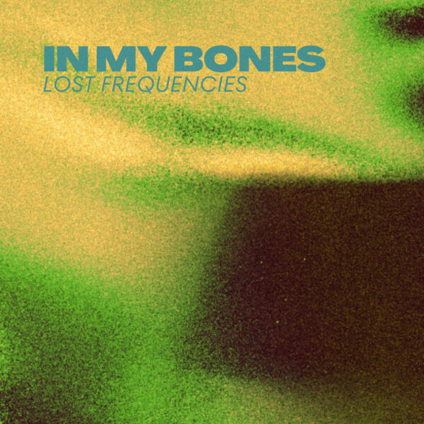 Lost Frequencies - In My Bones