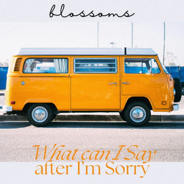 Blossoms - What Can I Say After I'm Sorry