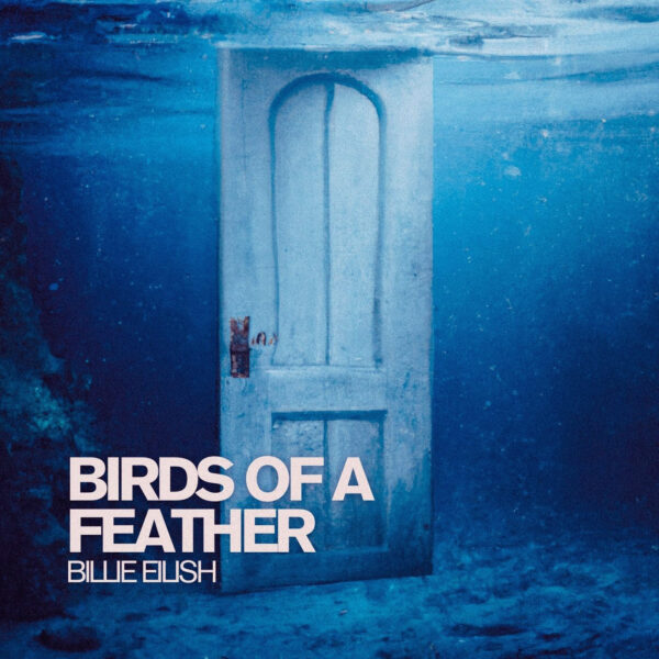 Billie Eilish - Birds of a Feather