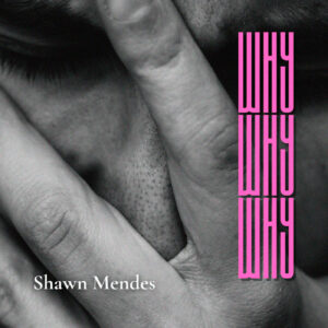 SF1128448 – Shawn Mendes – Why Why Why – Artwork