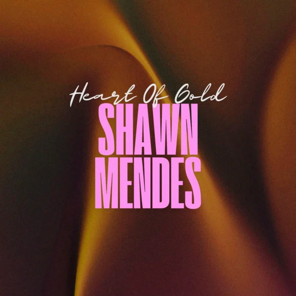 Shawn Mendes - Heart Of Gold