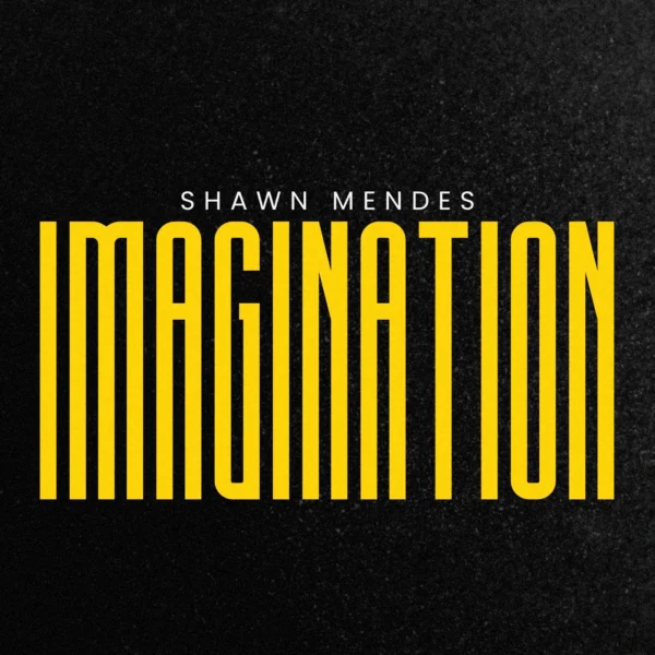 Shawn Mendes - Imagination