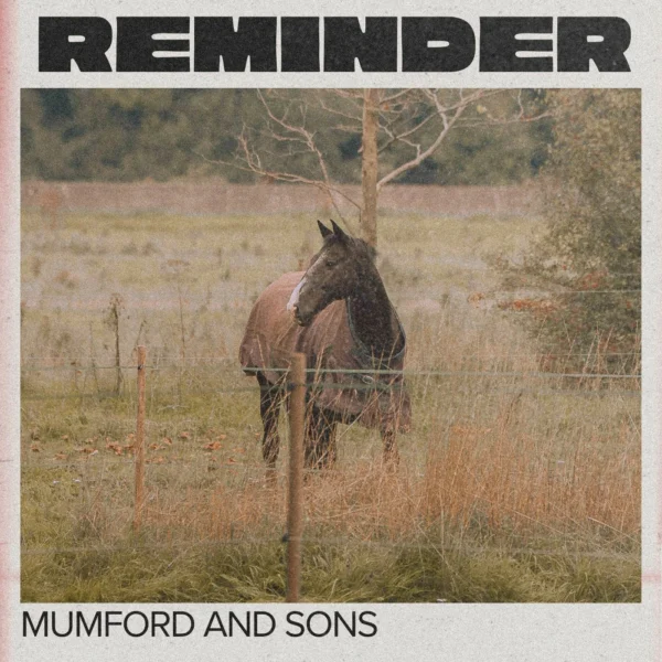 Mumford & Sons - Reminder