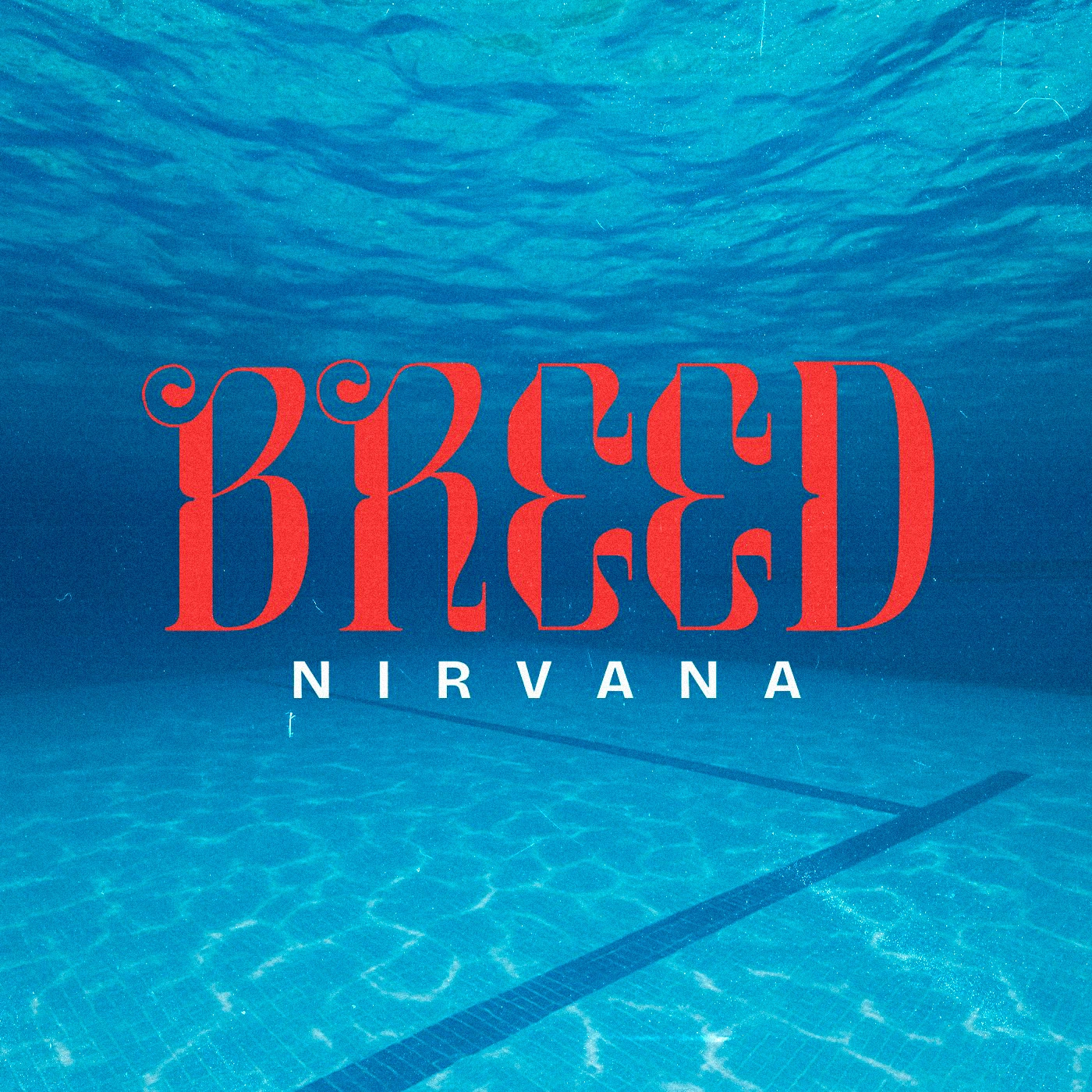 Nirvana - Breed