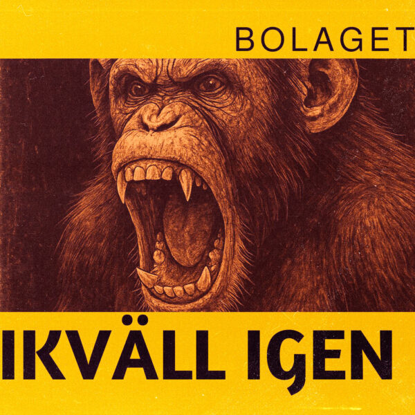 Bolaget - Ikväll Igen