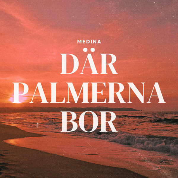 Medina - Där palmerna bor