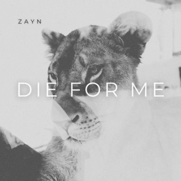ZAYN - Die For Me
