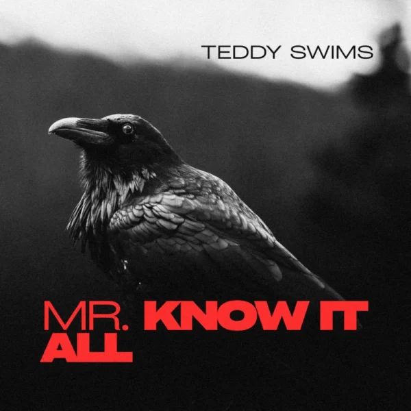Teddy Swims - Mr Know It All