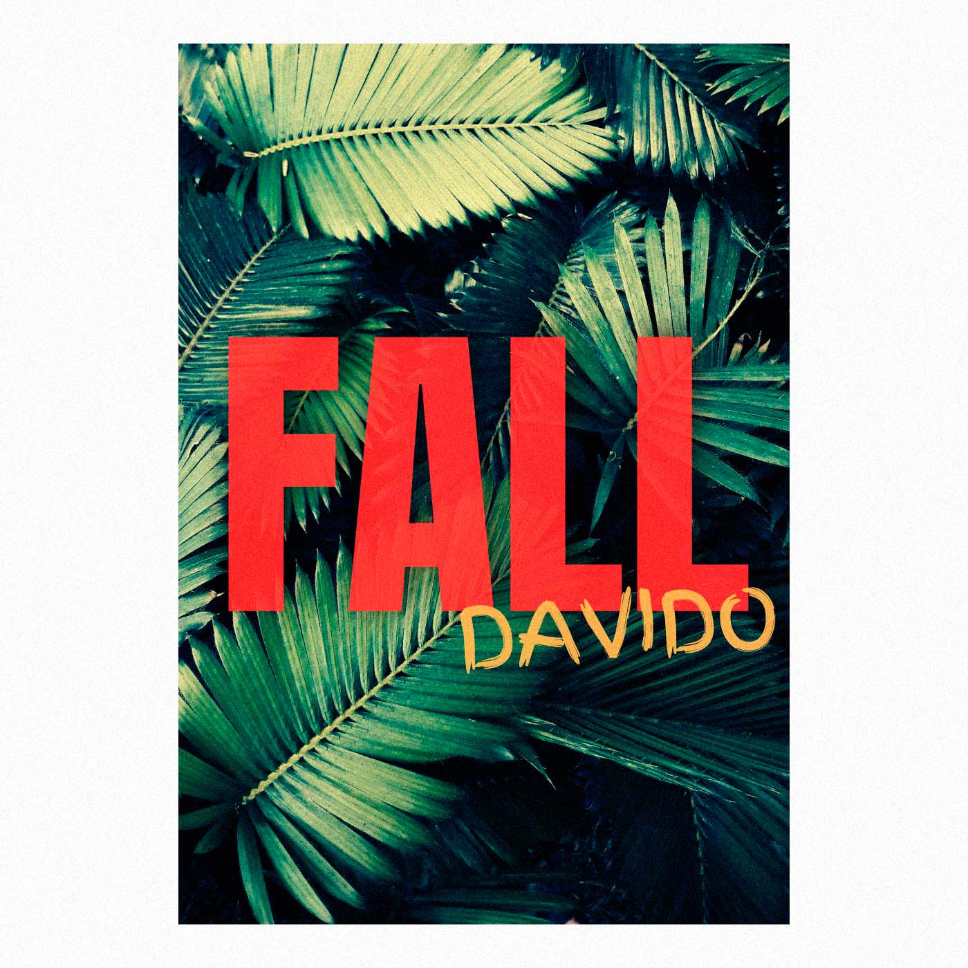Davido - Fall