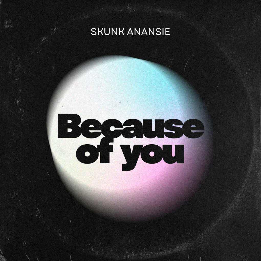 Skunk Anansie - Because Of You