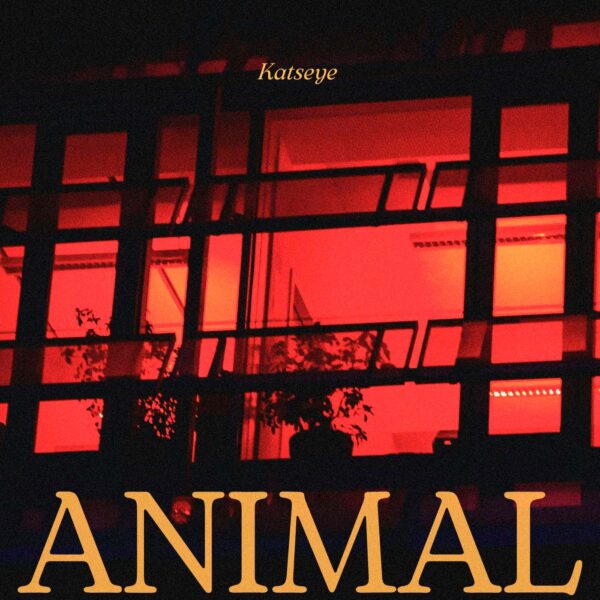 Katseye - Animal