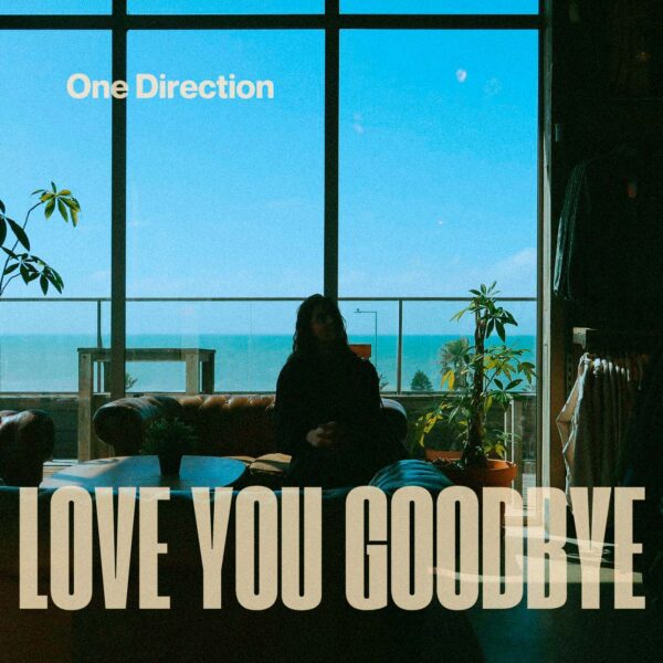 One Direction - Love You Goodbye