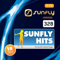 - Sunfly Hits Vol.328 - June 2013