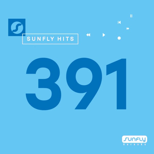 - Sunfly Hits Vol.391