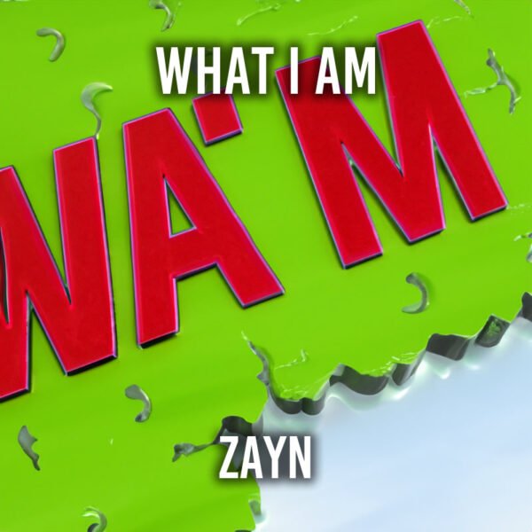 ZAYN - What I Am